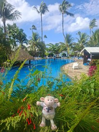 Even our NZ Mascot the lamb enjoyed the facilities