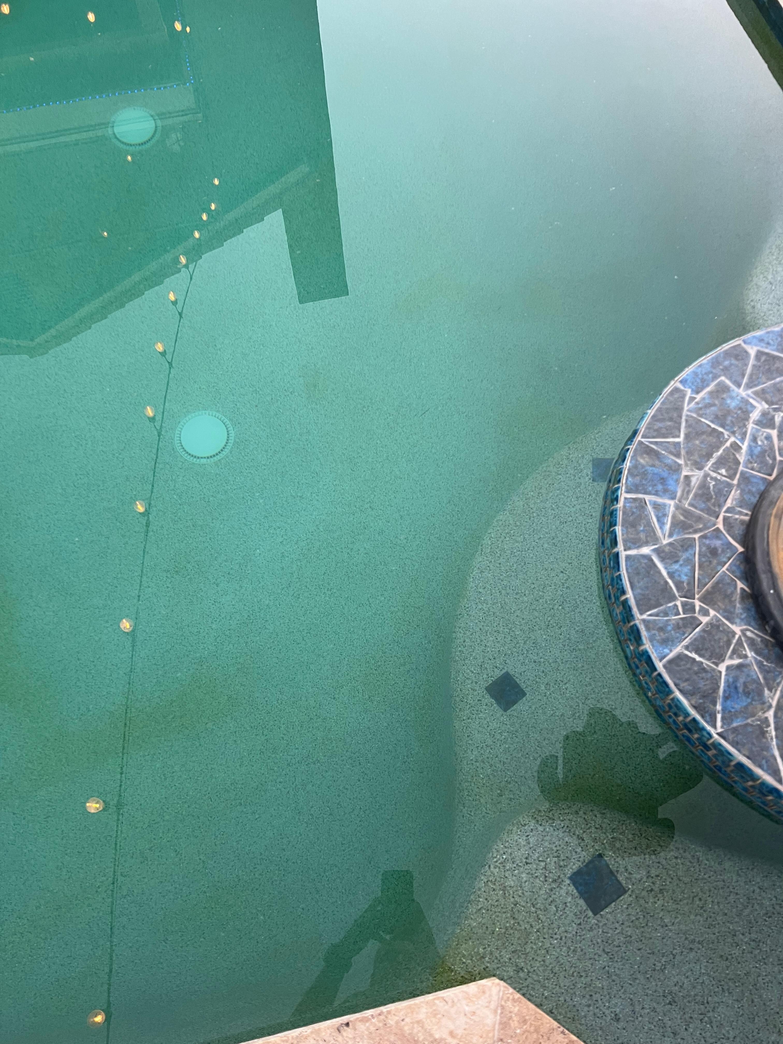 Another pic of the pool with the algae. 