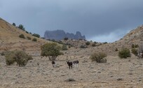 Driving in the San Rafael Swell area