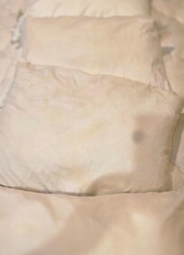 Foreigns stains on all pillows. Unfortunately I don’t have pictures of the musty stench.