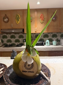 Welcome coconut 🫶🏼