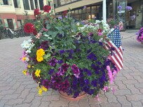 Some of the many gorgeous flowers around the property!