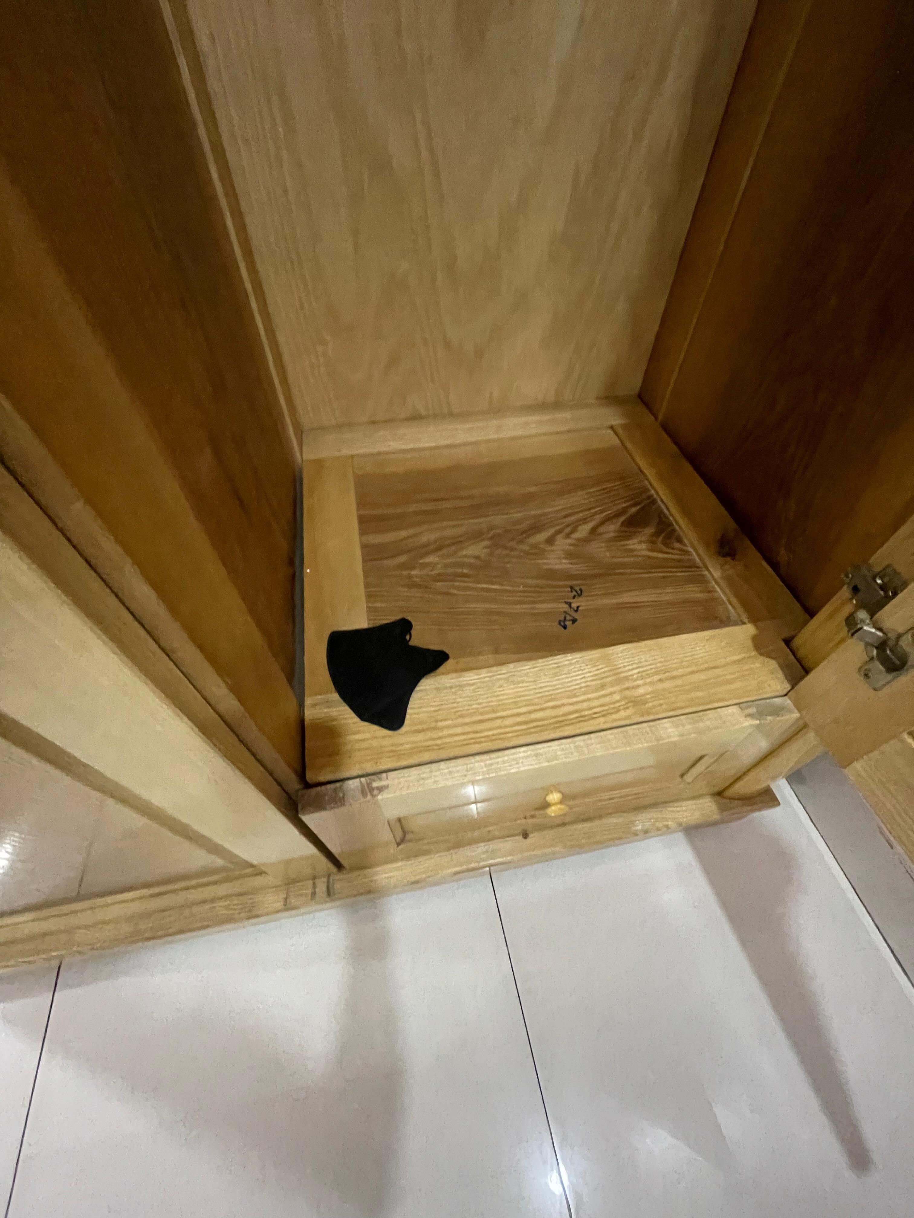 クローゼットの中の前の人？のマスク