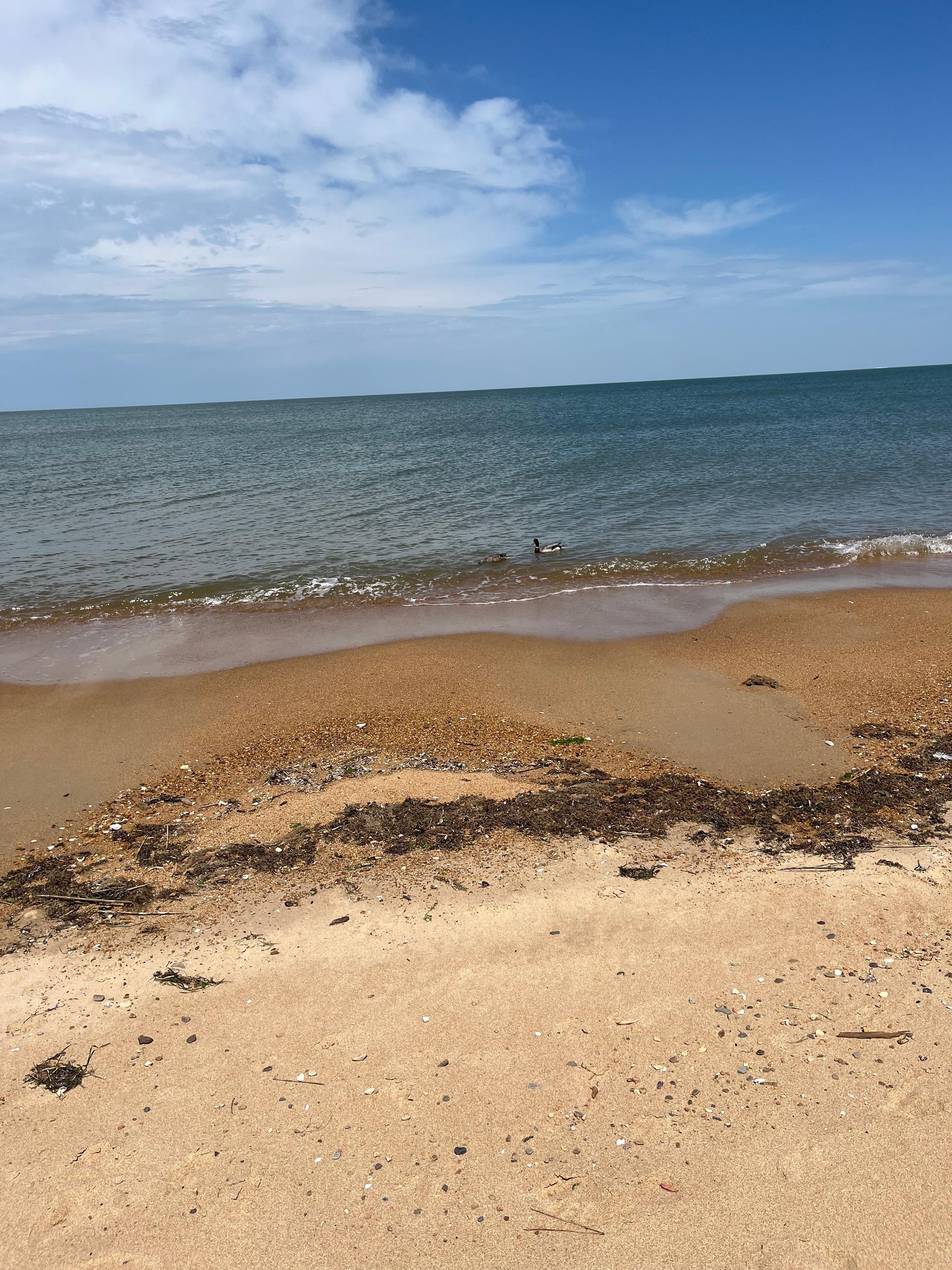 Taken during walk down on beach 