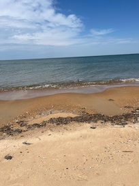 Taken during walk down on beach