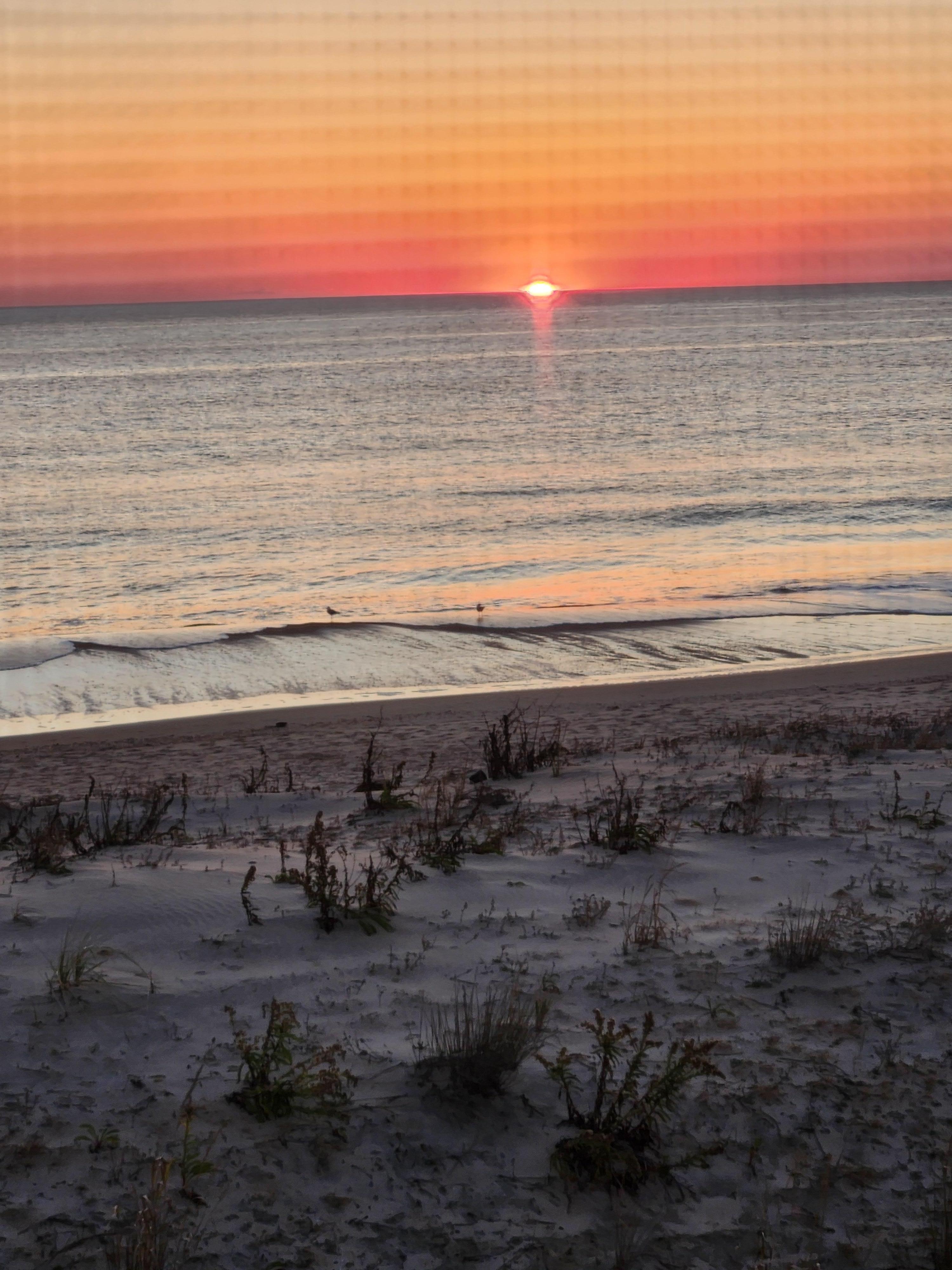 Sunrise view from the screen porch