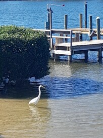 Right by our deck