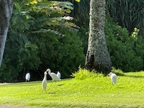 View of golf course from back patio
