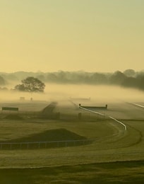View of the racetrack