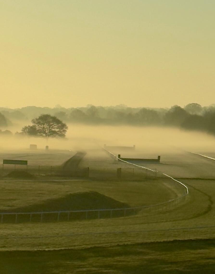 View of the racetrack 
