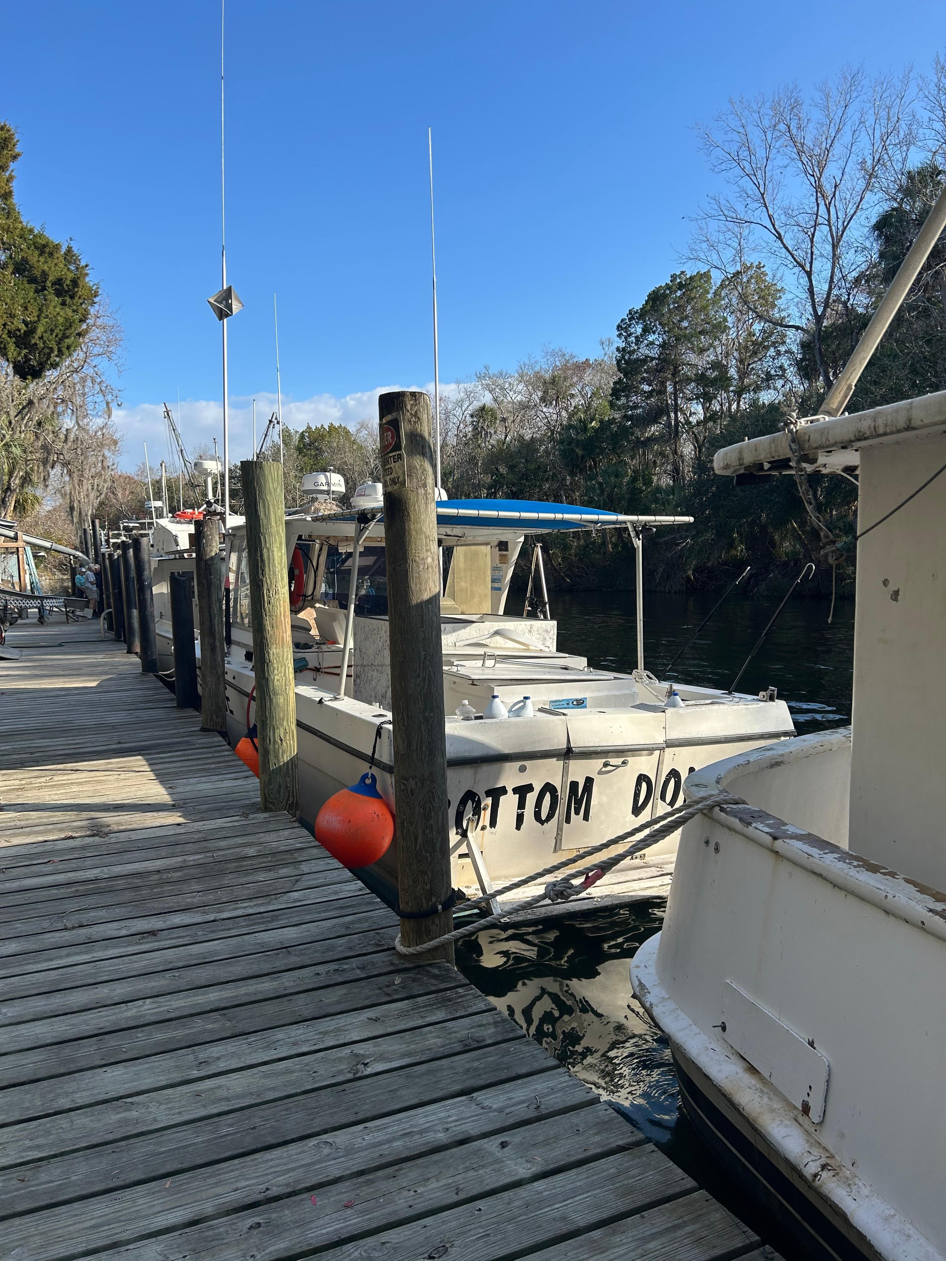 Brooks fish dock, BEST fresh fish tacos ever