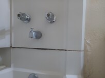 Not what you want to look at while you're taking a bath or shower