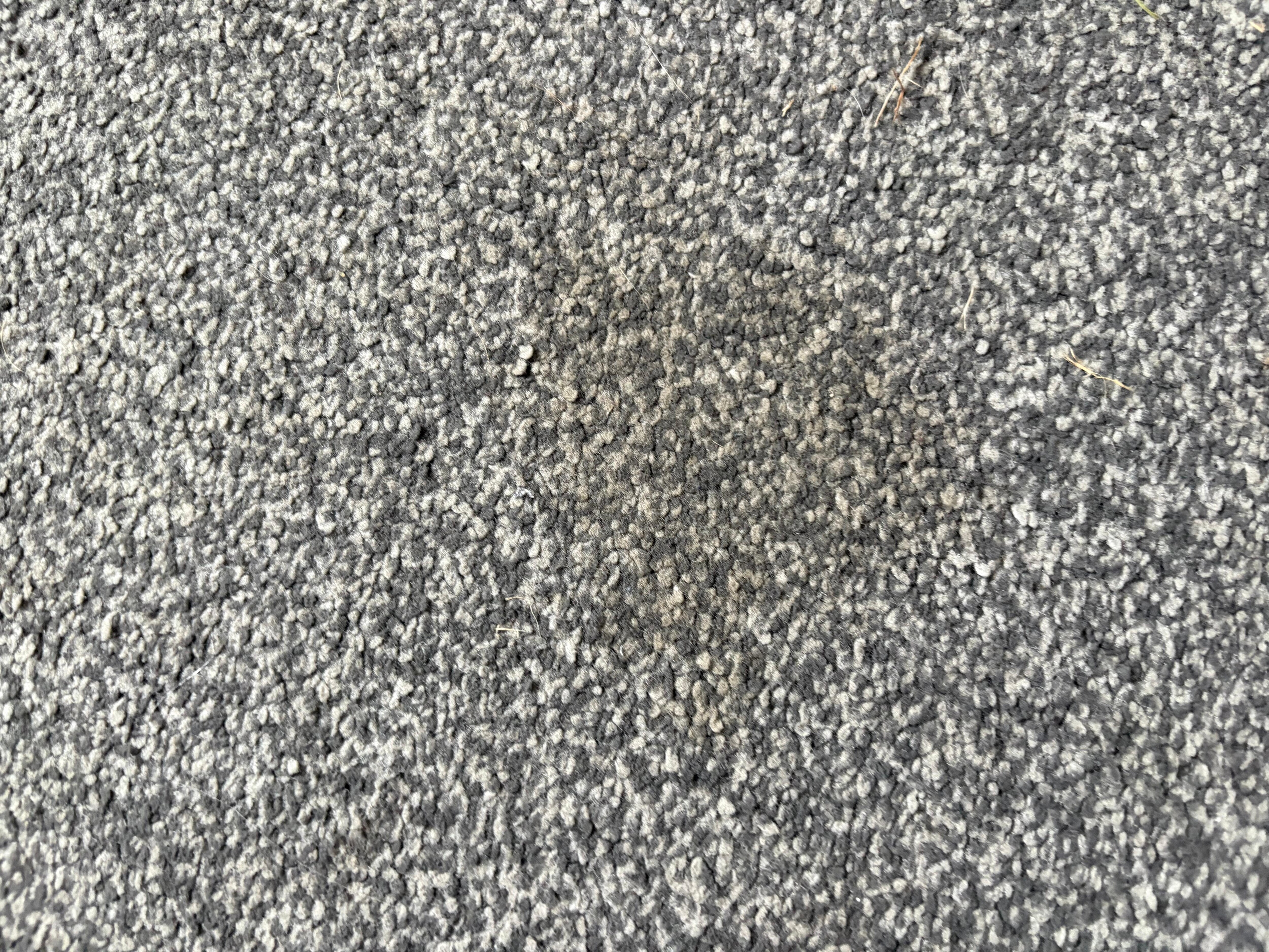 Dirty carpets throughout 