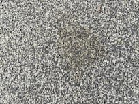 Dirty carpets throughout