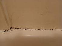 Black mold in bath