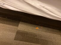 I also have two short videos