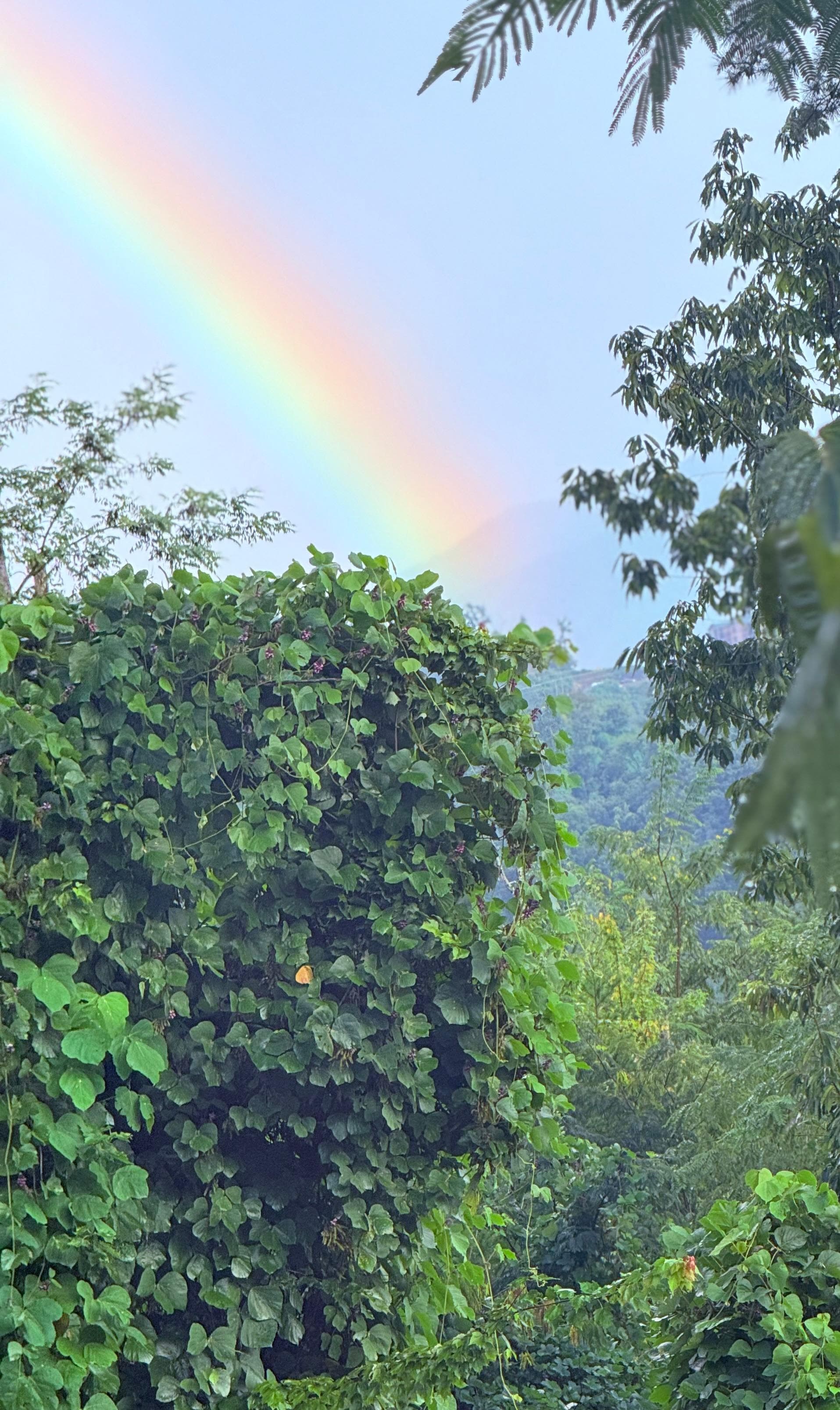 Beautiful Rainbow View from “Take Me Away” Cabin