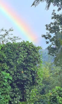 Beautiful Rainbow View from âTake Me Awayâ Cabin