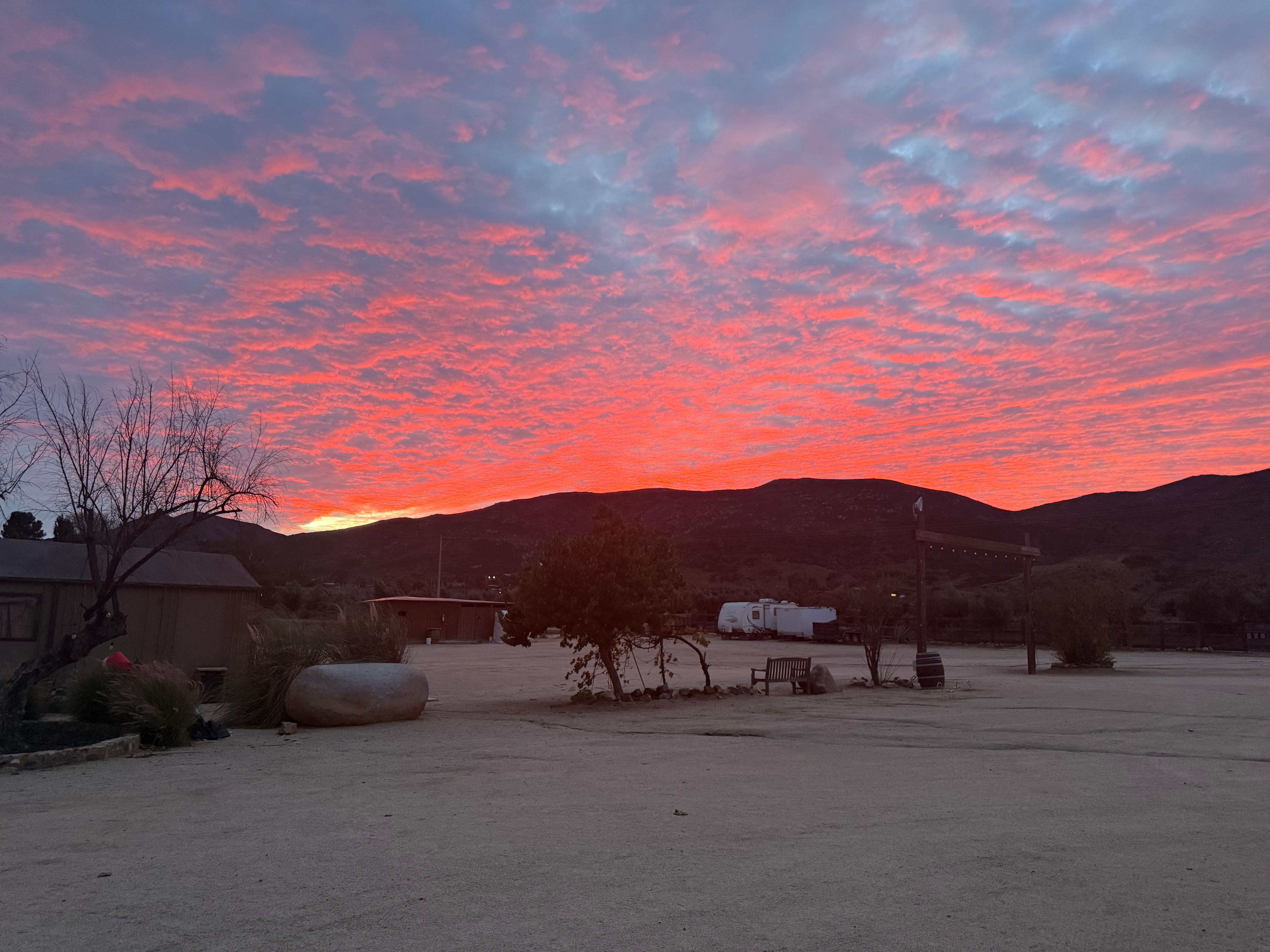 Gorgeous sunset! 