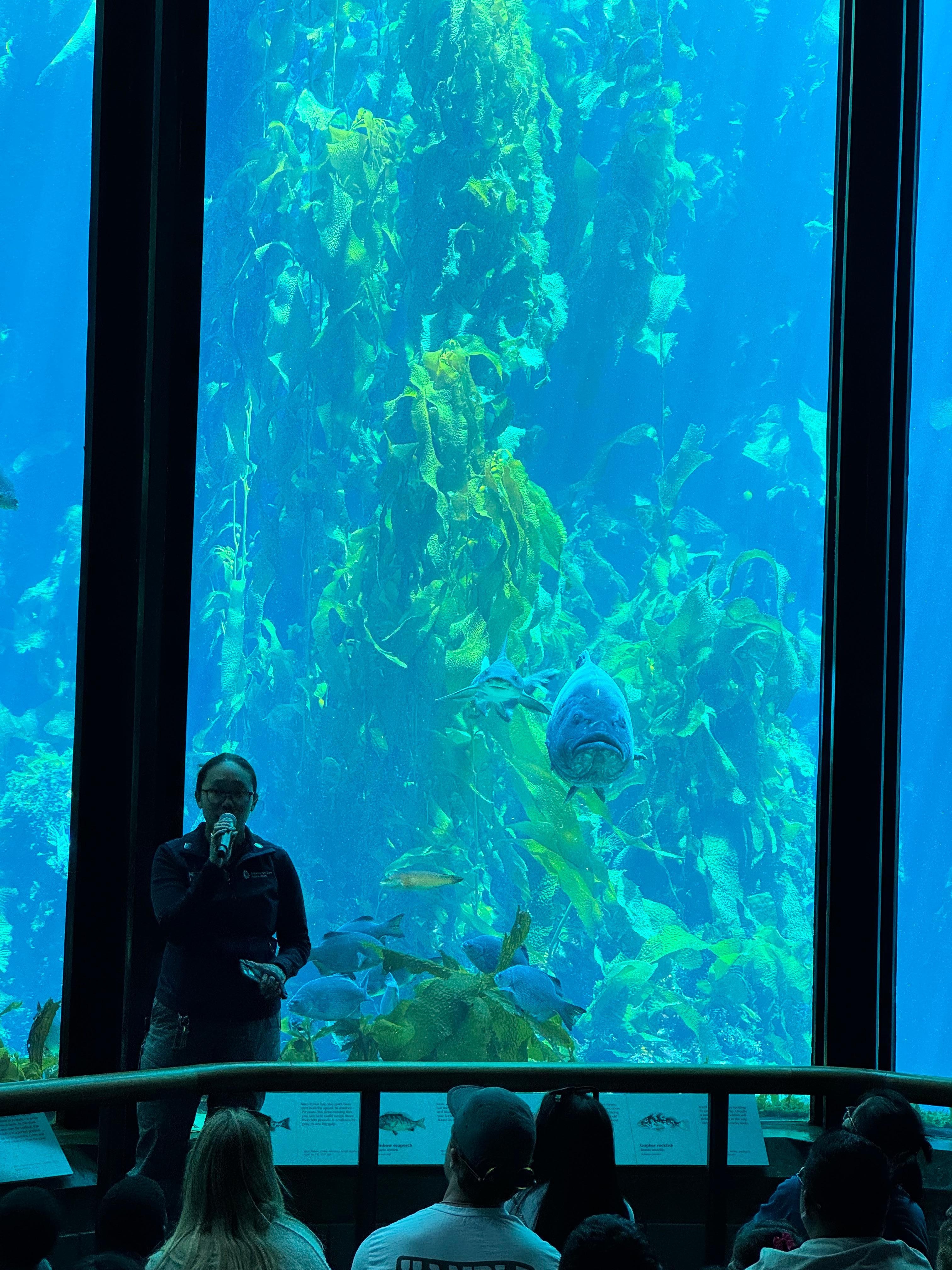 Aquarium 