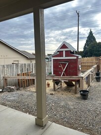 View from the inside of guest house looking out the front door.
