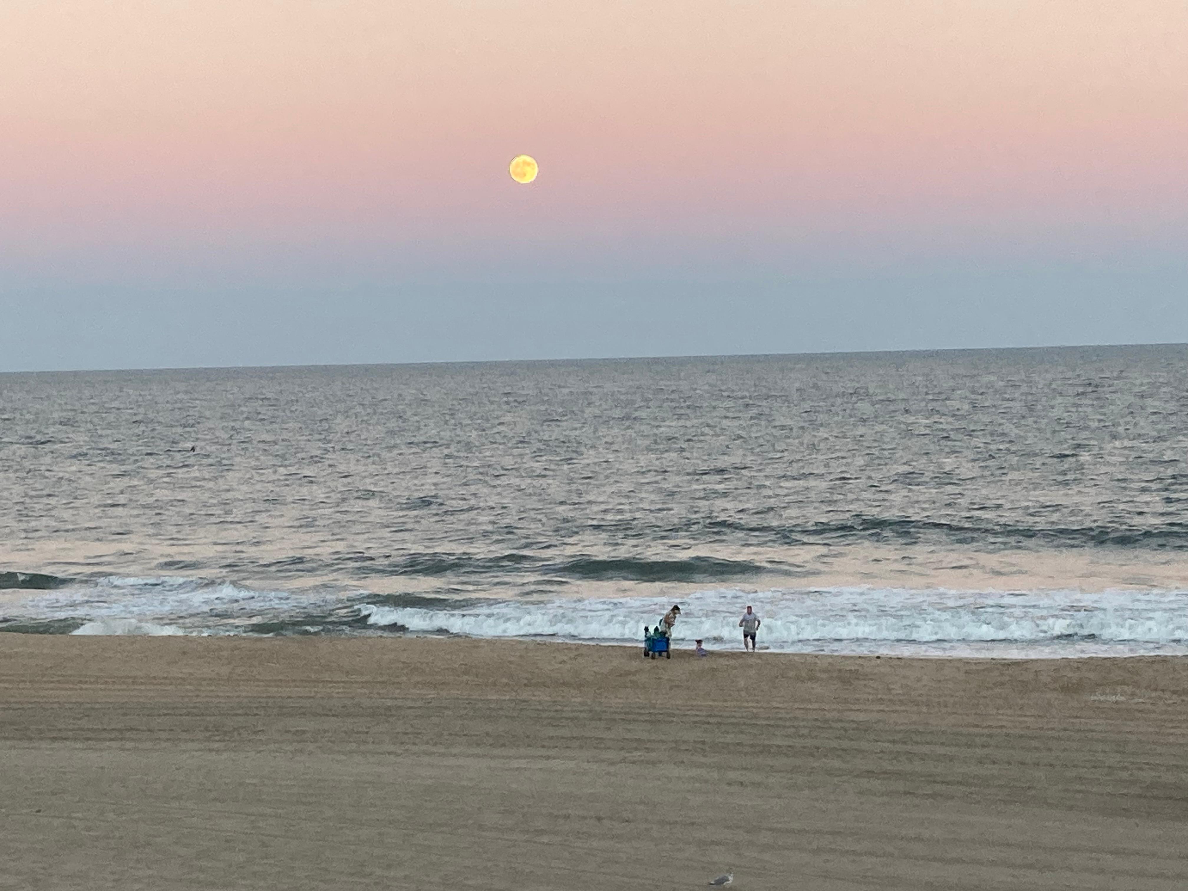 View from room during the day