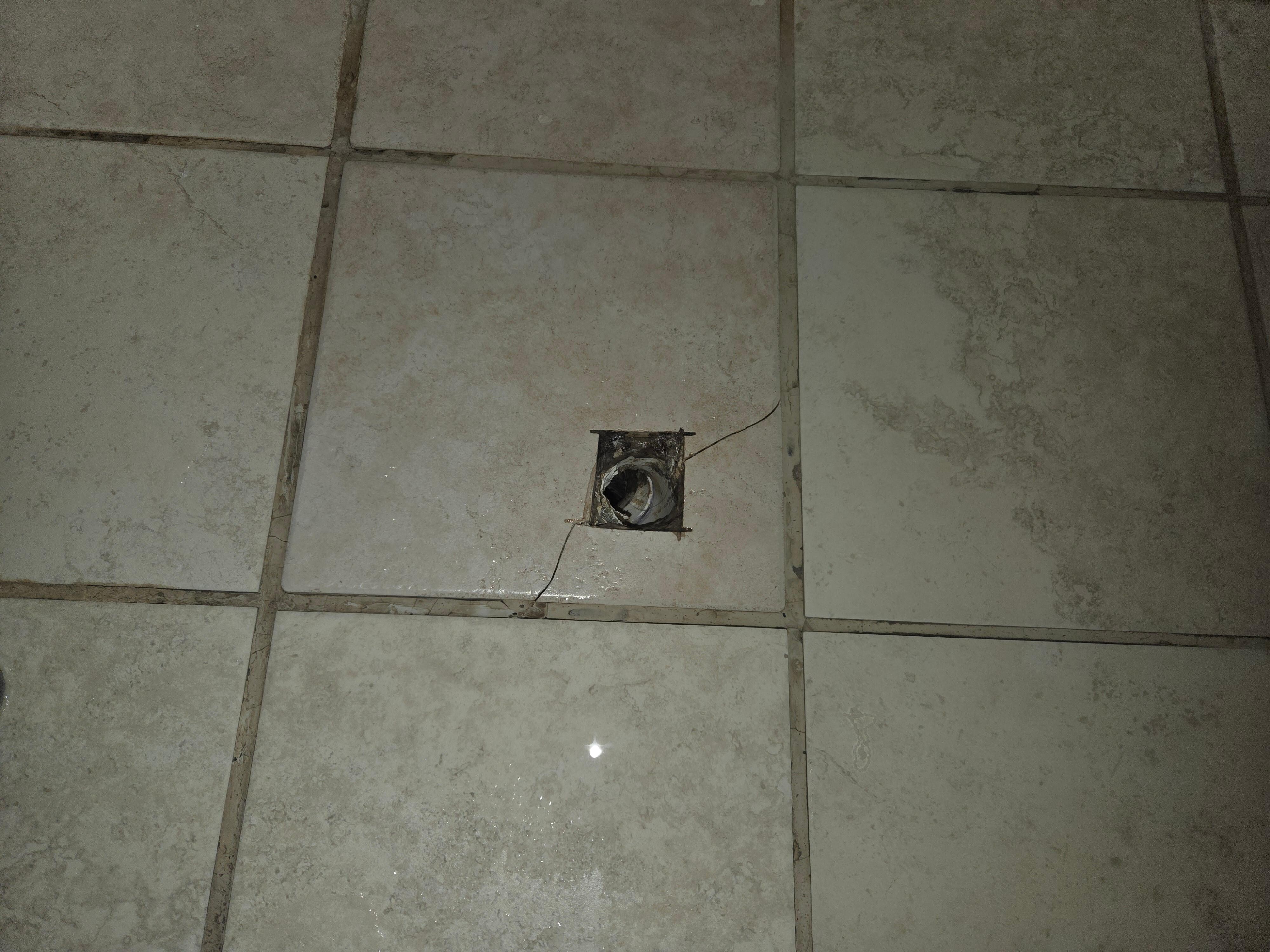 Bathroom shower drain?