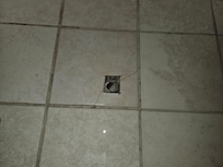 Bathroom shower drain?