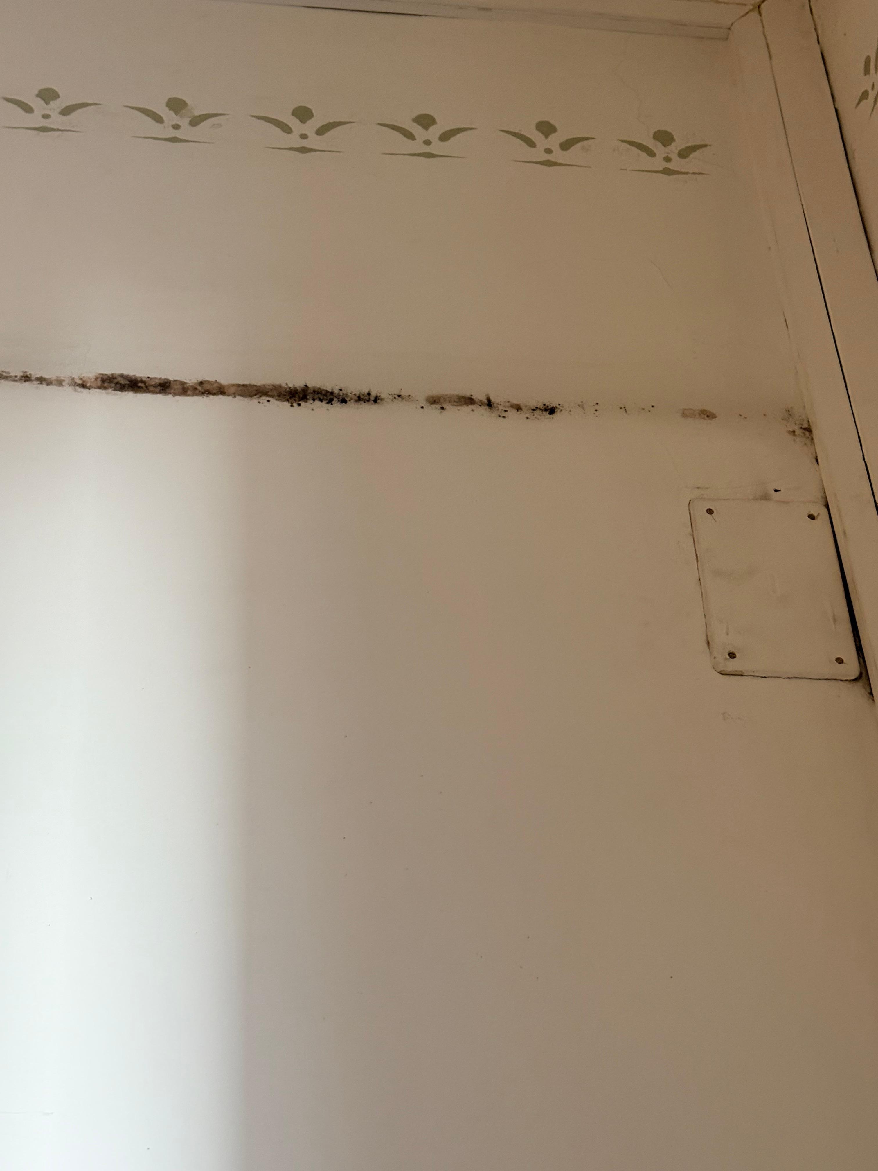 Wall in room covered in filth