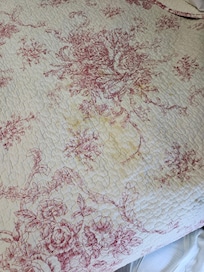 Unknown disgusting stain on master bedroom comforter