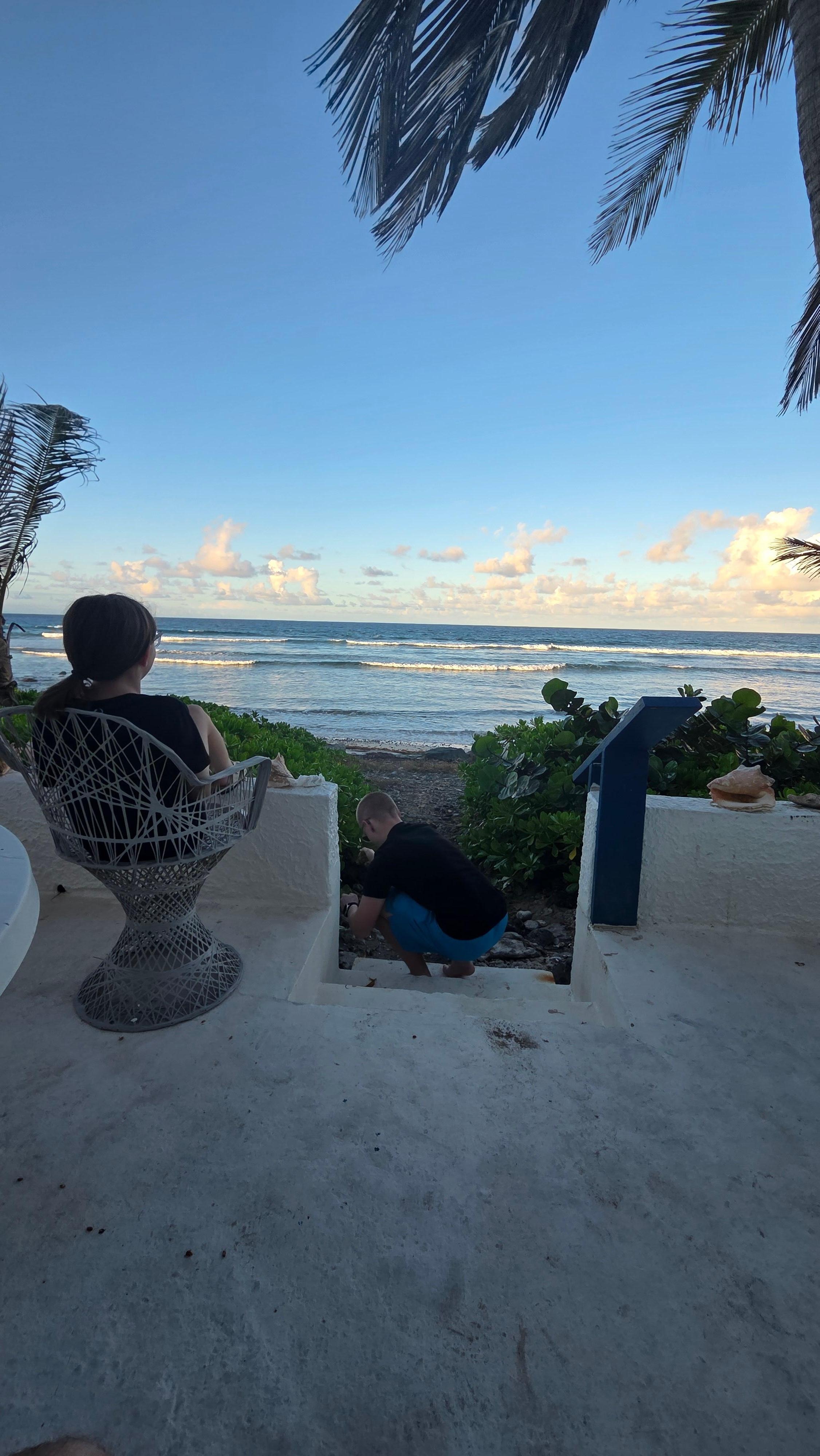 Great view out back!