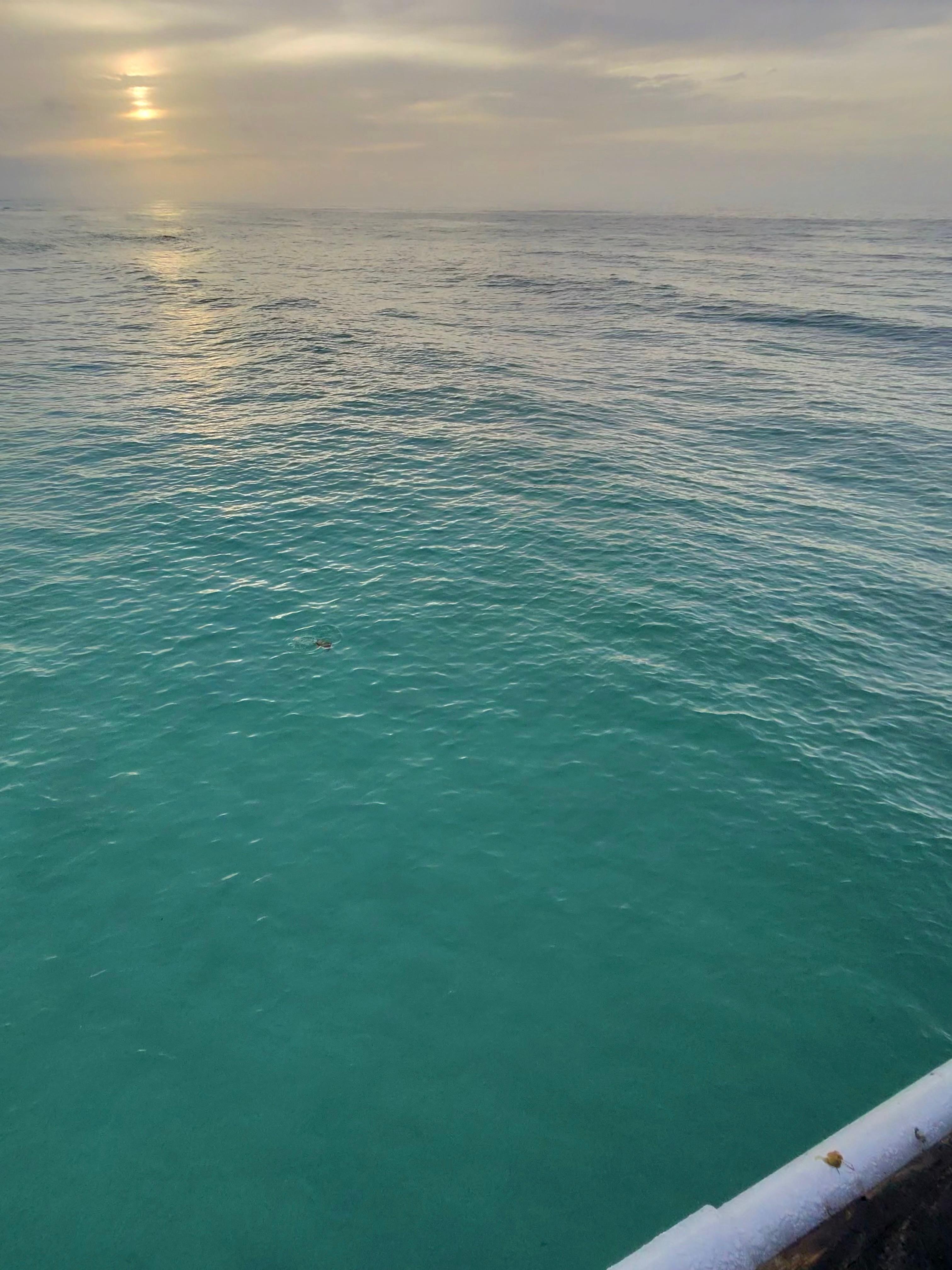 Beautiful clear water