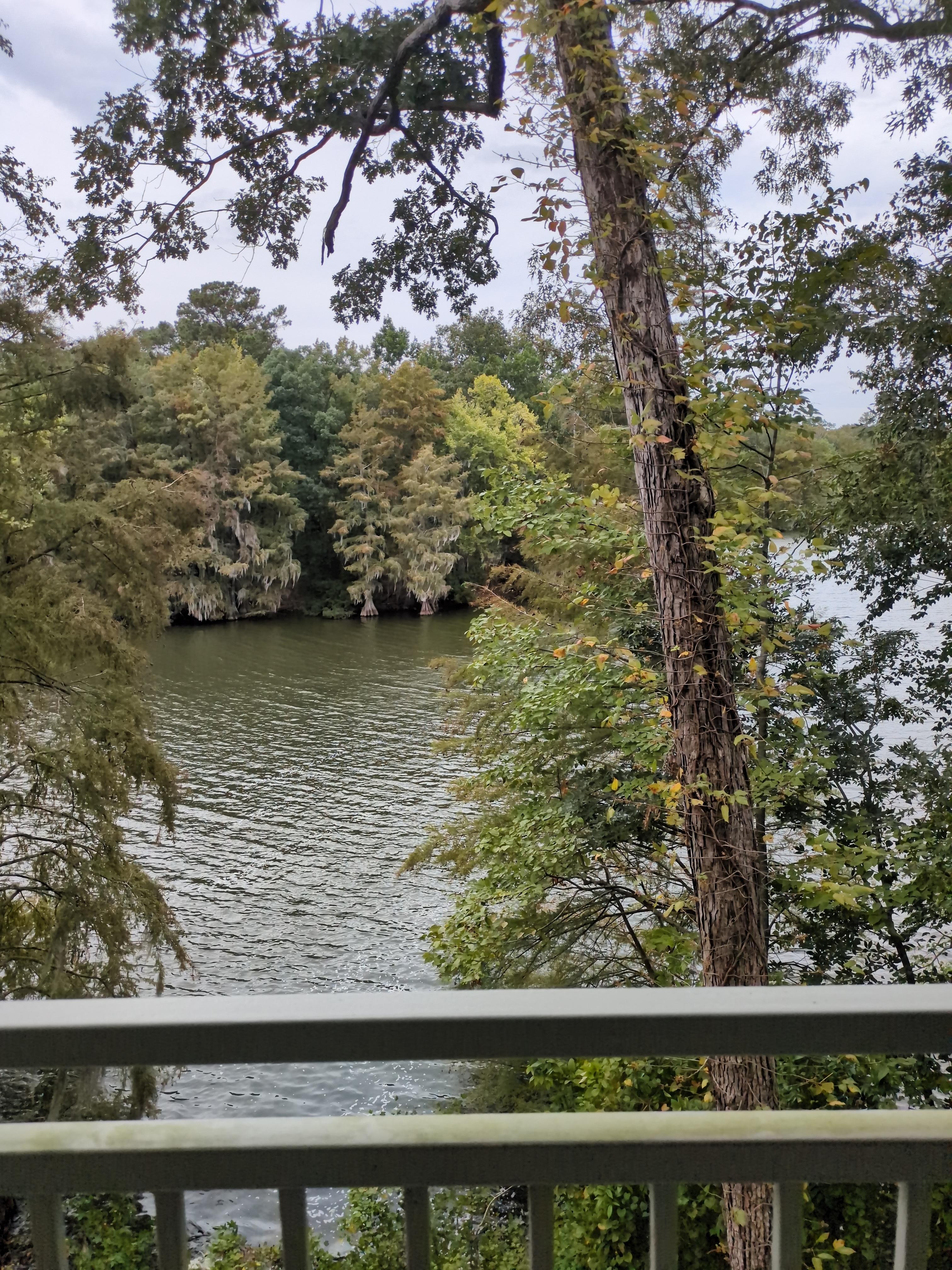 Beautiful view from the back deck.