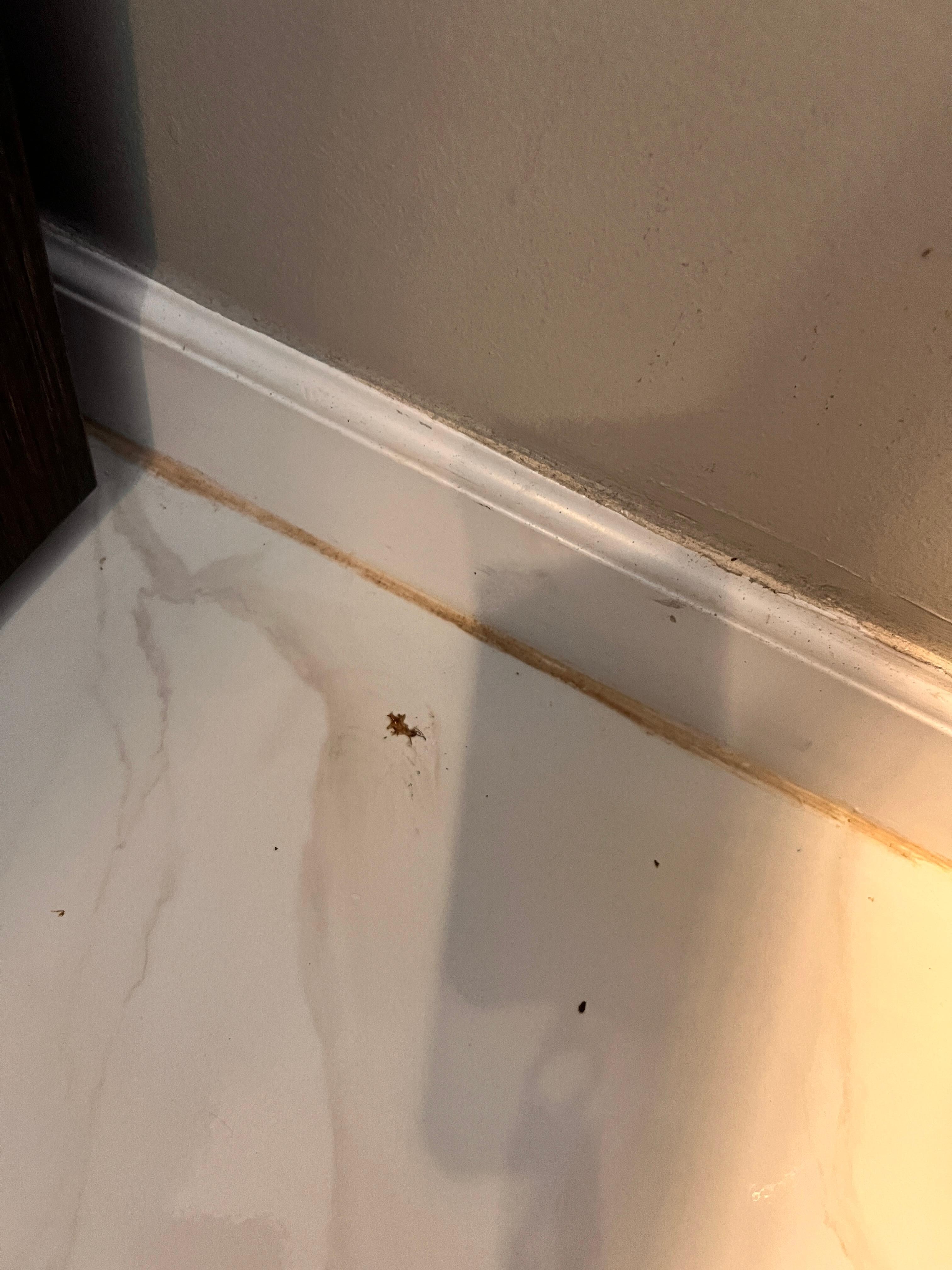It was everywhere…