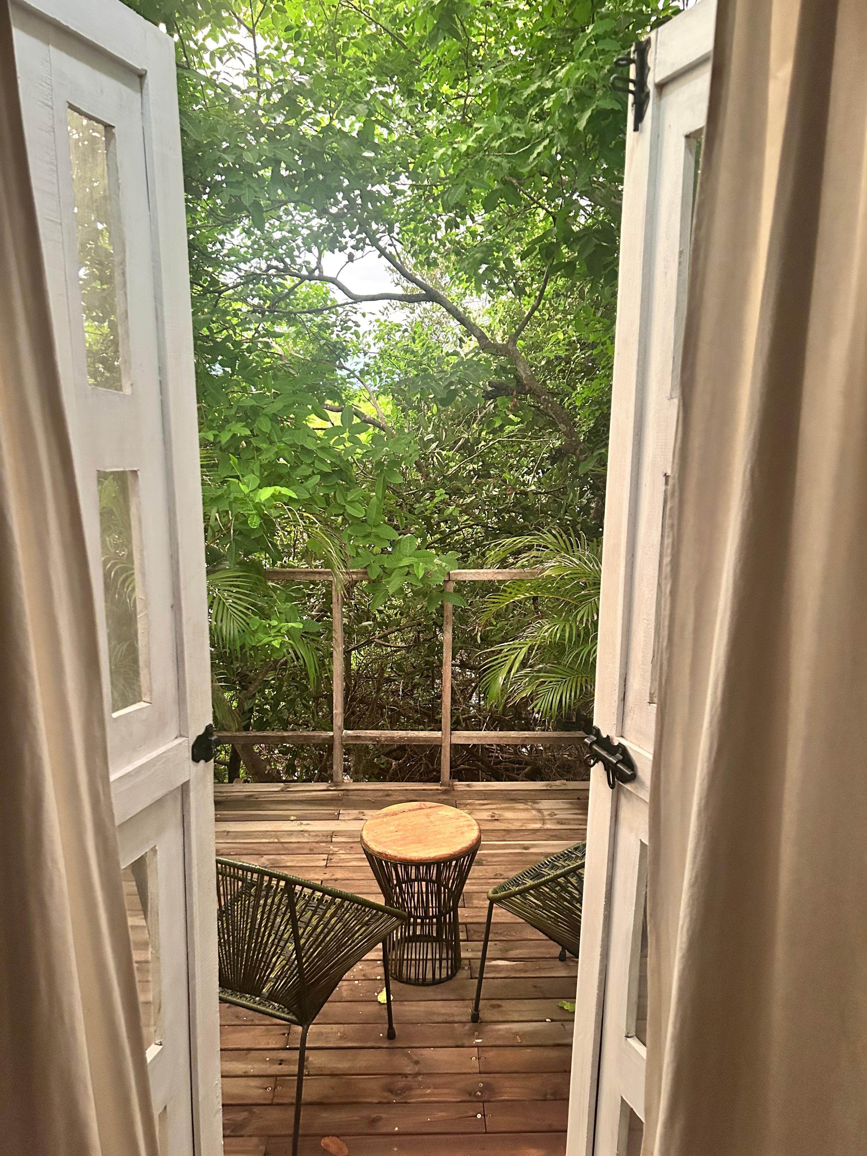 Morning patio view! 