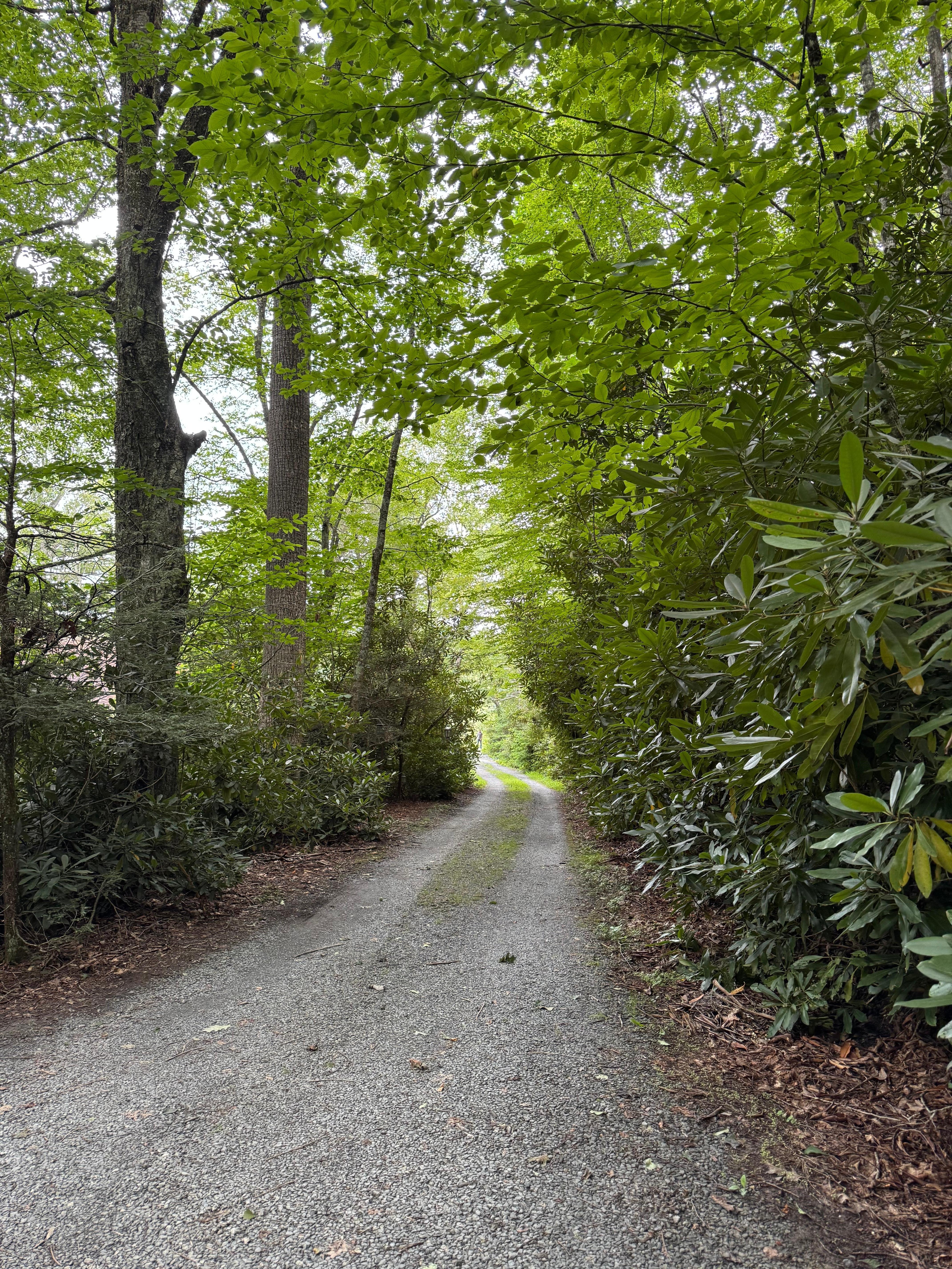 Driveway from property to the road. 