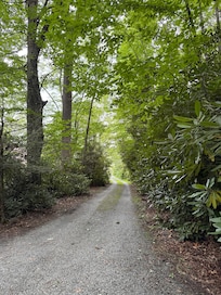 Driveway from property to the road.