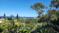 View from kitchen