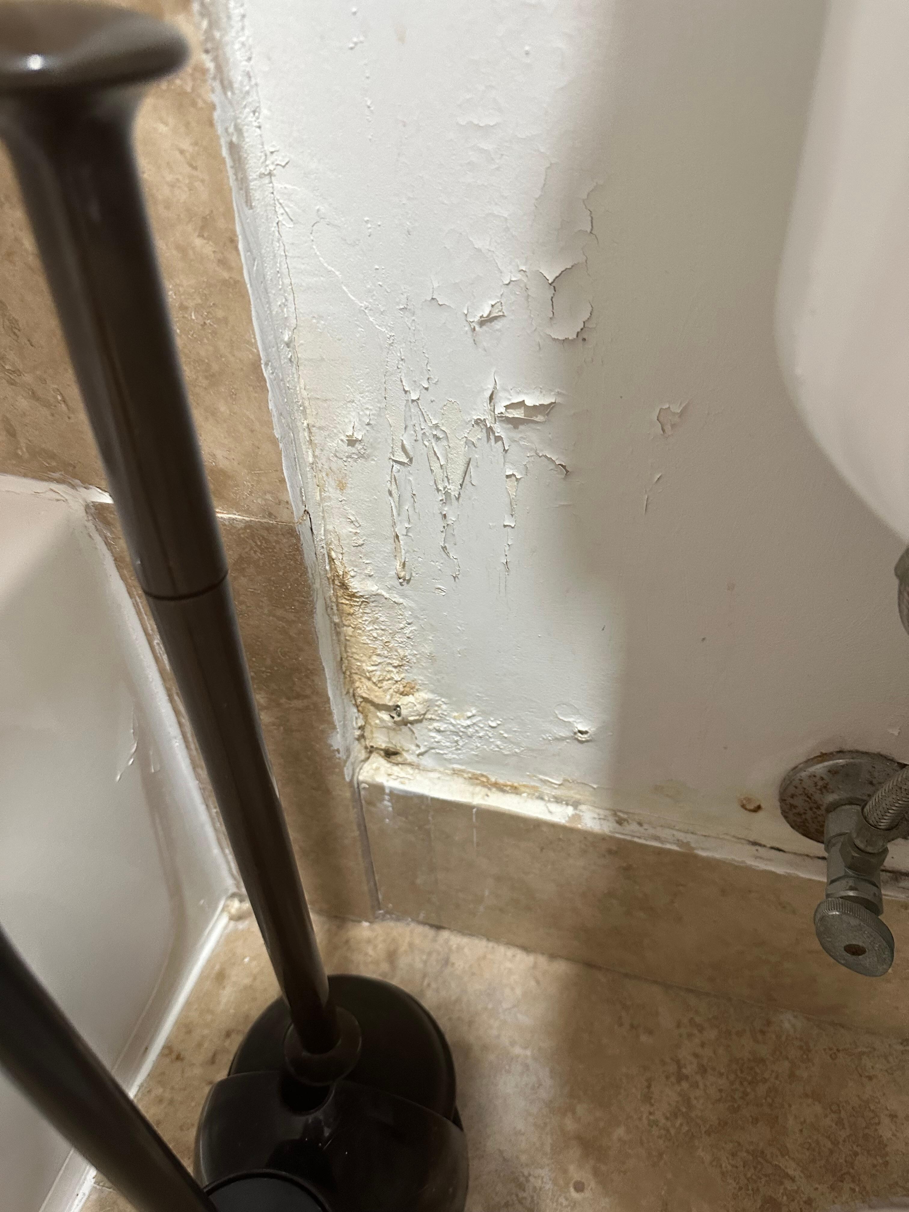 Urine soaked wall behind the toilet 