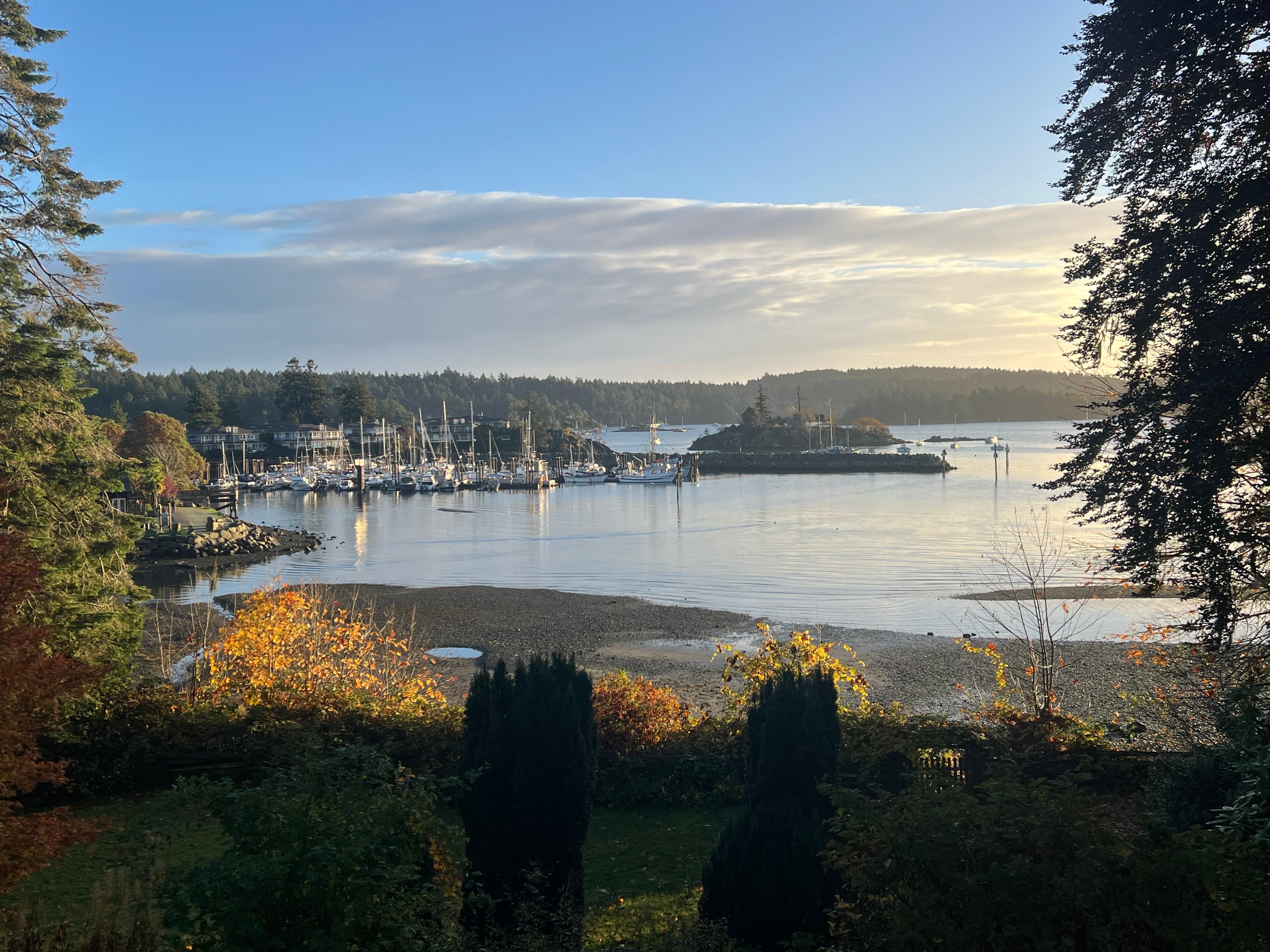 View from the dining room in the morning light. 