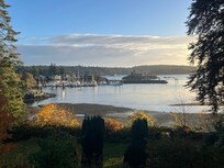 View from the dining room in the morning light.
