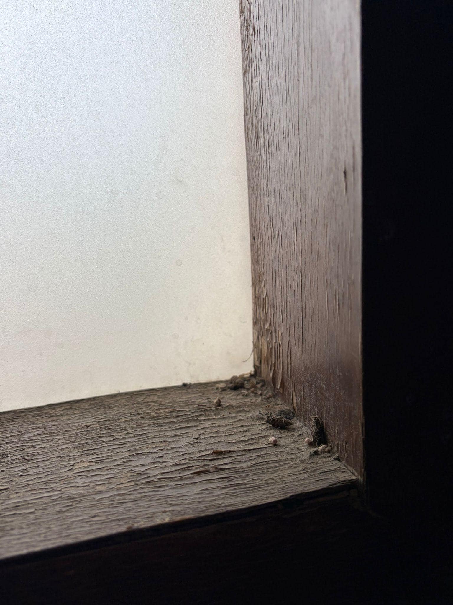 No idea what this filth was