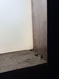 No idea what this filth was