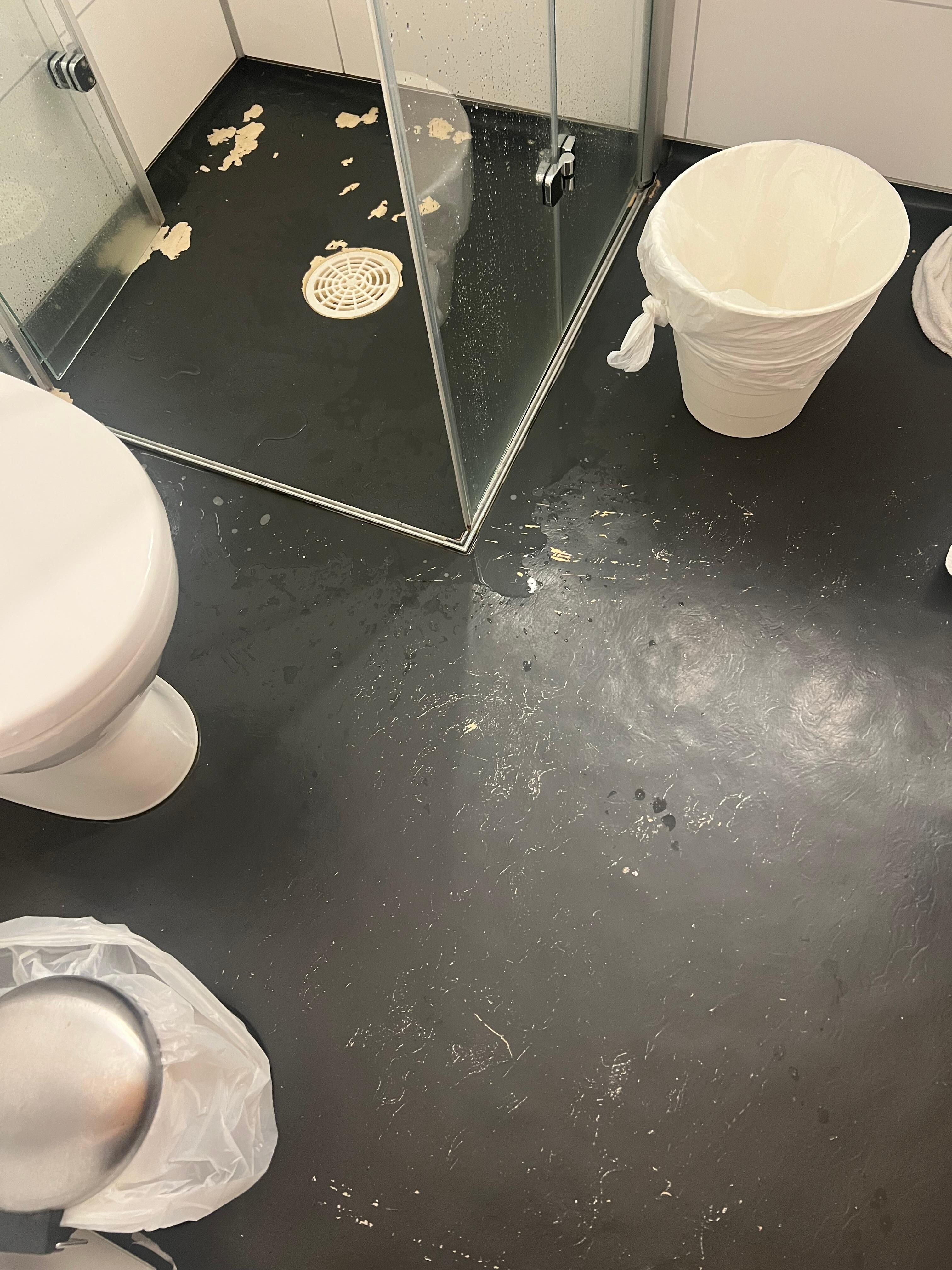 Ofräsch toalett