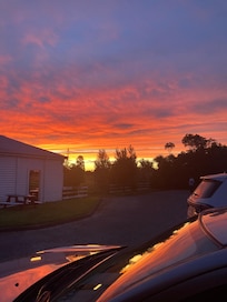 View from kitchen door