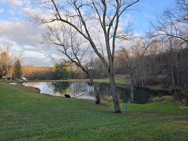 View from the front porch - November 22, 2025
