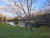 View from the front porch - November 22, 2025
