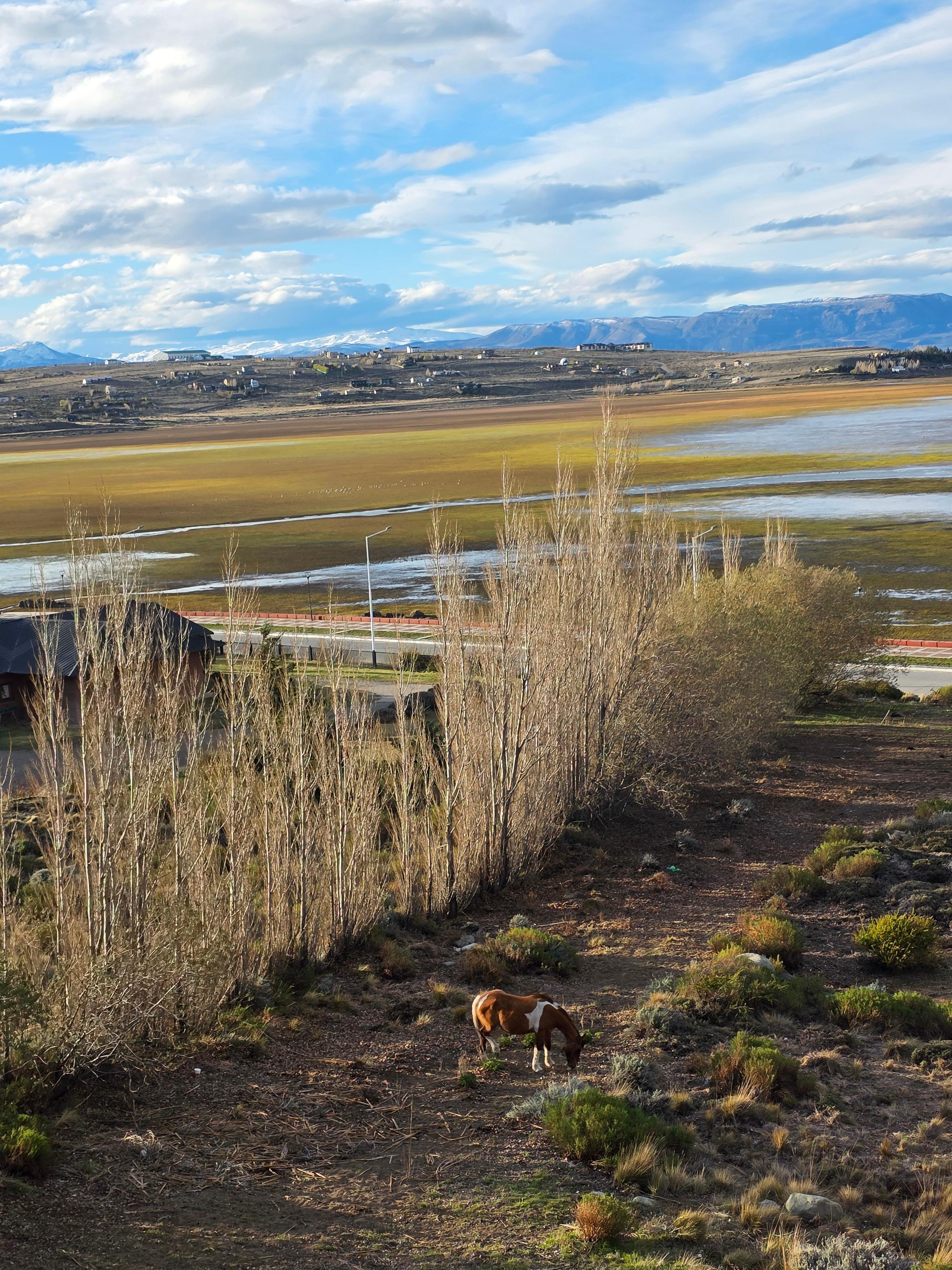 Paganos por una vista "preciosa" que mostraba la pa página y asi nos toco