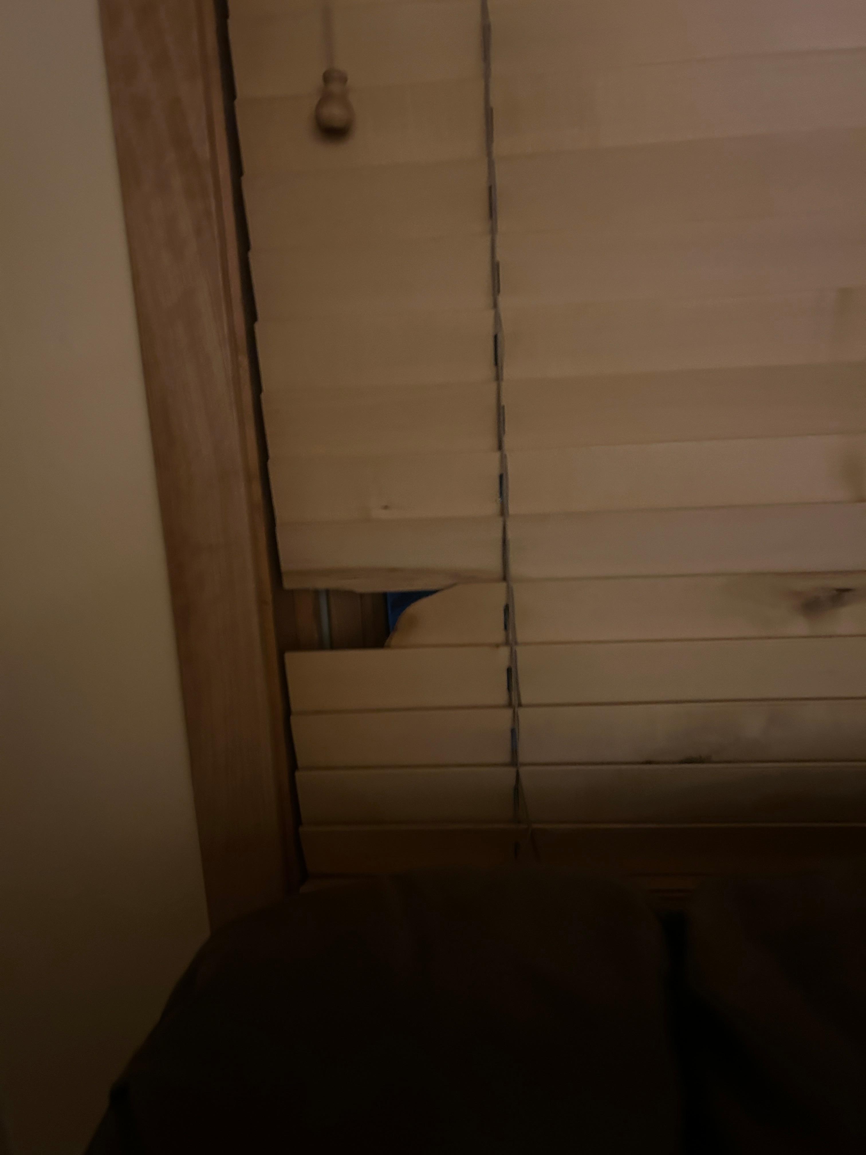 Blinds all over the apartment were broken