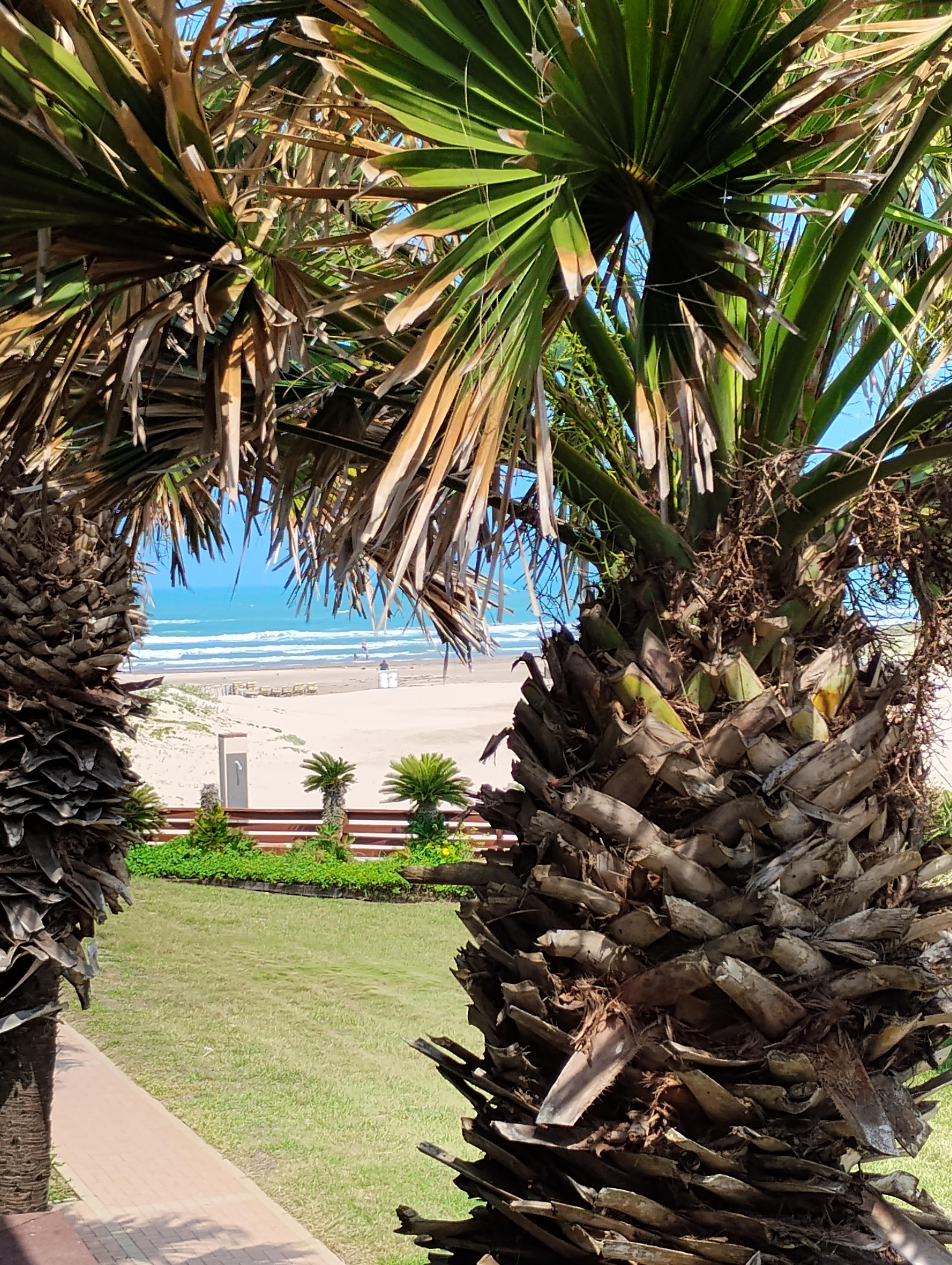 View from our room
